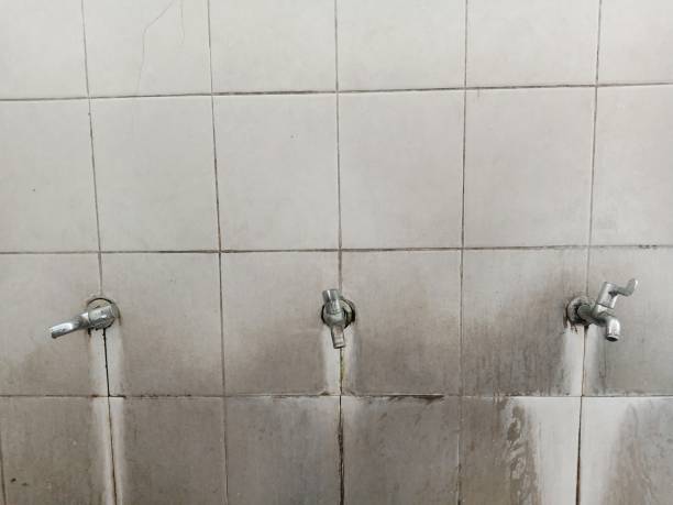 Best Flood restoration services  in Caddo Mills, TX